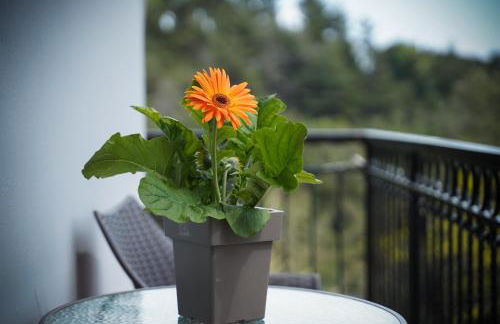 InGreen apartment - Foto 34