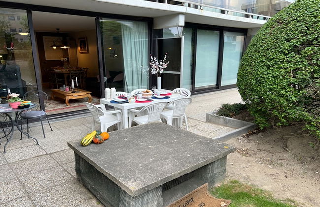 Ster Der Zee On Sea Shore - Foto 21