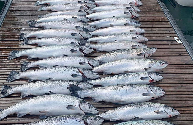 8 Person Holiday Home in Leka-by Traum - Foto 14