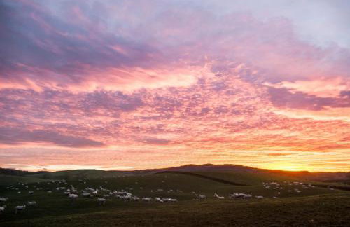 Stables House - Foto 40