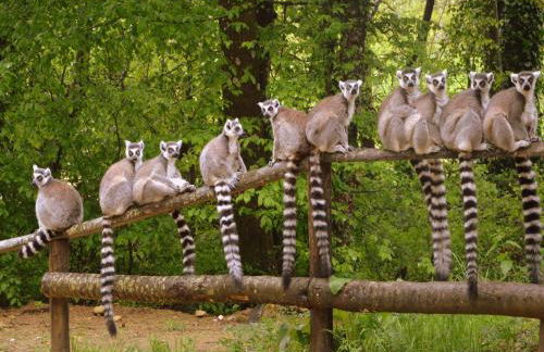 Luxury Villa in France with Pool - Foto 32