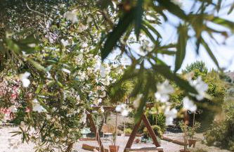 Monte do Pomar - Foto 56