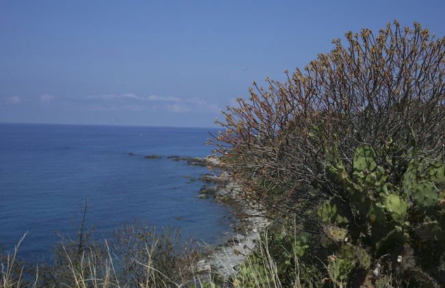 Mansion in Capo Vaticano Near the Beach - Photo 23