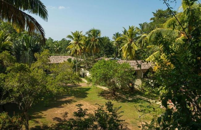 Modern Luxury 03 Bedroom Villa - Photo 17