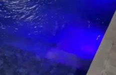 Chácara em Piracaia - Photo 50