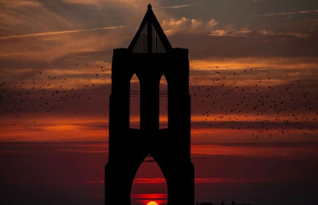 Ostland Modern Retreat - Photo 16