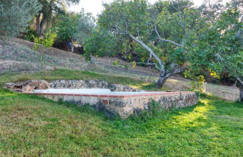 Vivienda Rural Olivar del Chanza - Foto 19