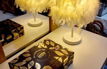 Coup de Coeur sur le Port de ST GOUSTAN, Trés Bel Appartement avec Terrasse - Foto 8