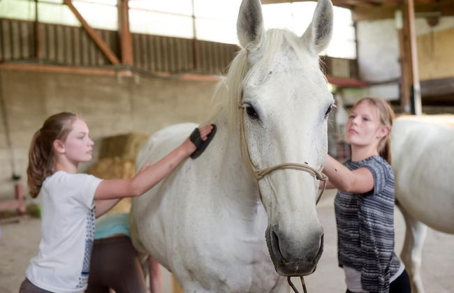 Nengshof - Haus Wildrose - Photo 28