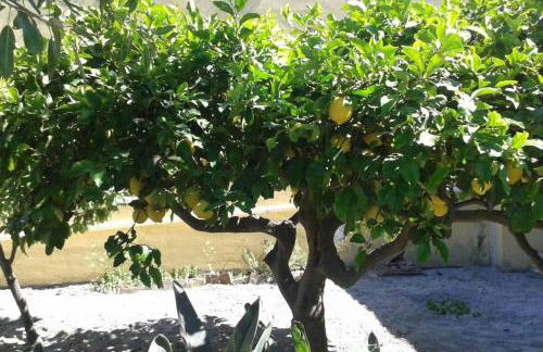 la casa di titti e jack - Foto 38