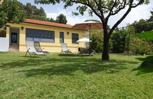 Montinho 313 - Foto 4