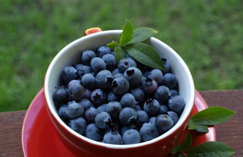 Wieża marzeń - Photo 10