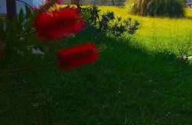 Entire villa with big garden and BBQ amenities - Foto 25