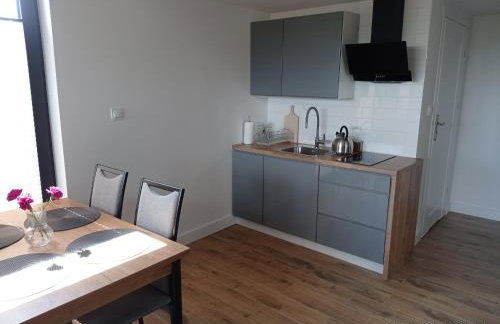 Apartamenty Kasztanowa Zator - Foto 55