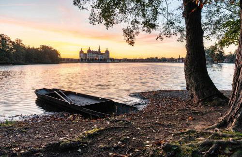 Fewo mit Terrasse Moritzburg - Foto 35