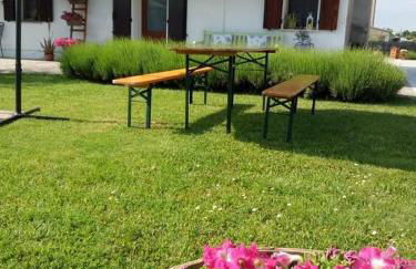 Appartamento Lavanda - Casa vacanza nel Delta del Po - Foto 35