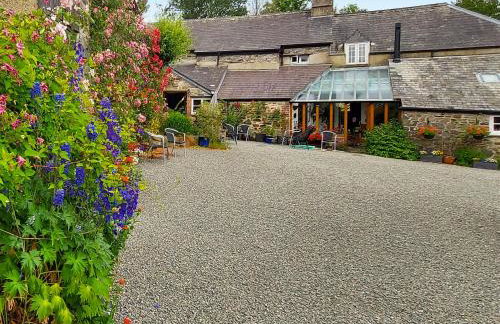 Little Forda - Foto 12