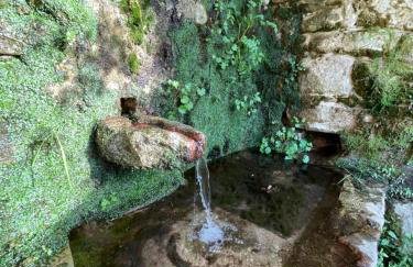 Casa Arena Authentique maison de village avec piscine au cœur de l’Alta Rocca - Zoza - Foto 65