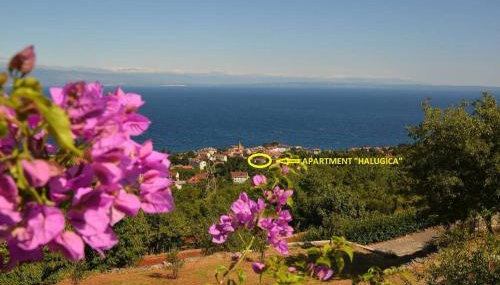 Apartman Halugica - Photo 2