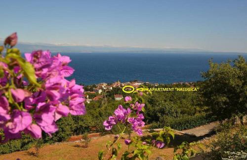 Apartman Halugica - Photo 2