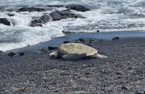 Shores at Waikoloa 132 Hale Kai - Foto 70