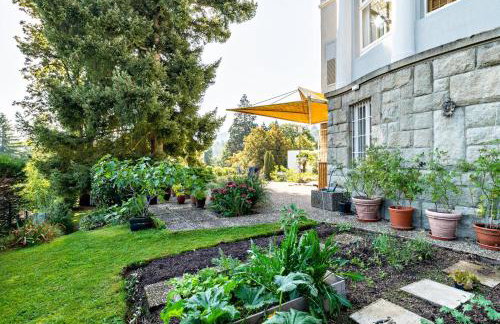 Merkurblick - Foto 21