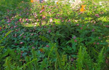 Beachfront Romantica place First floor - Foto 33