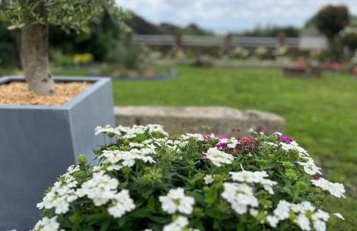 Le petit paradis - Foto 18