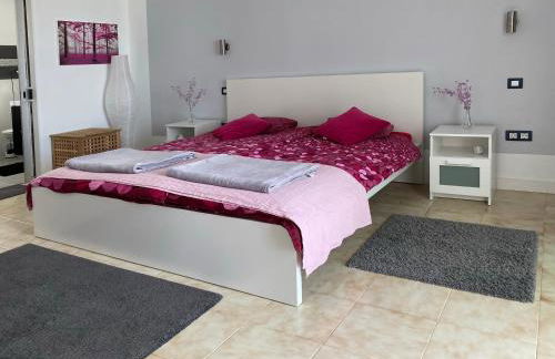 La Palmita - Foto 11