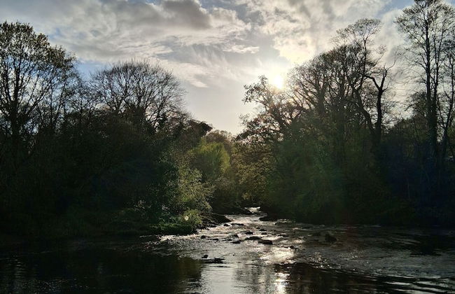 Ballymultimber Cottages - Foto 61