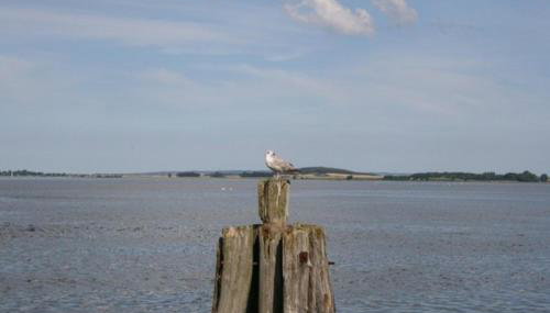 Gaestehaus Celina_ WE32747 - Foto 4