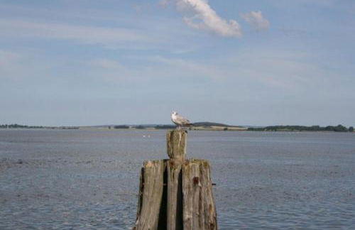 Gaestehaus Celina_ WE32747 - Foto 4