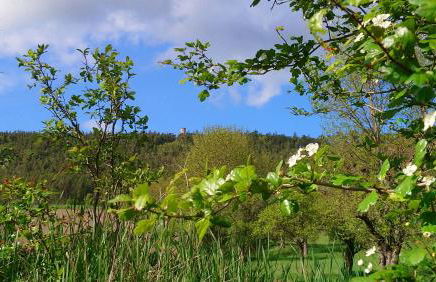 "Haus Ulla" - Foto 42