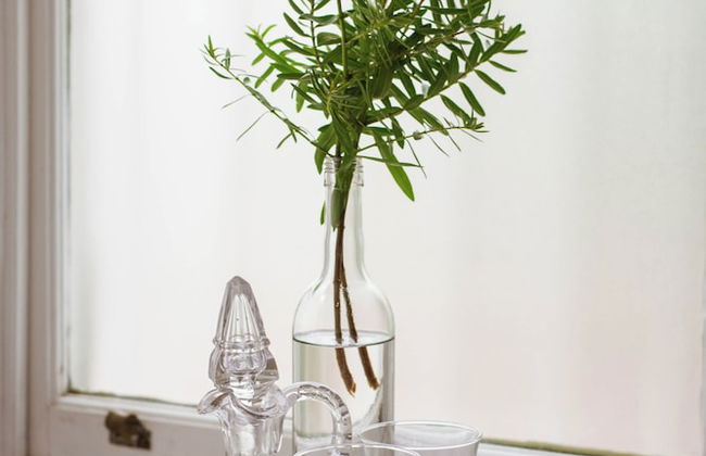 Kolonies Tuin - Foto 12