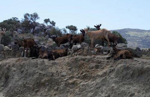 Atalia Apartment, Orne Crete - Foto 24