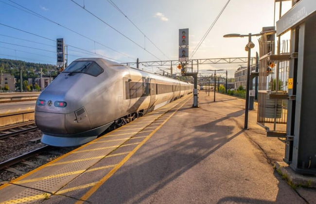 KM Rentals - Foto 17