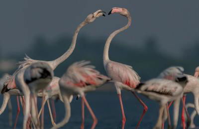 Kerkini's Harmony House - Foto 38