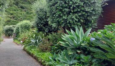 Sítio da Assumada - Foto 4