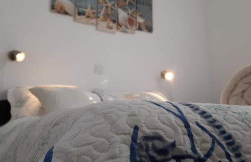 Vitez's House Novigrad/Knight's House Novigrad - Foto 10