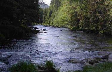 Seidl's Ilztalfewo - Foto 10