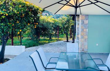 Citrus garden - Photo 12