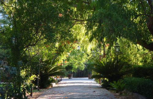 Finca Cas Sant - Foto 40