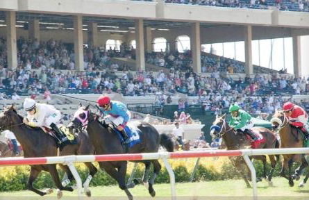 Live the Beach Life in a Quaint Shell Cottage - Foto 40