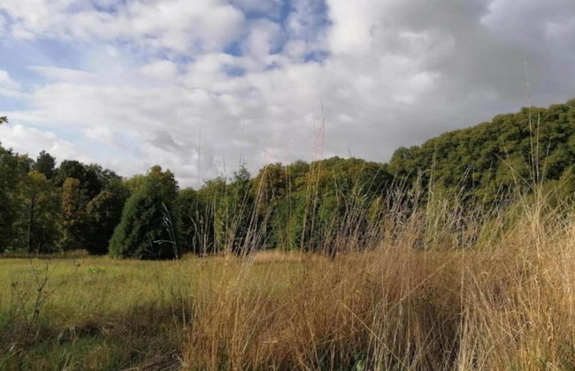 Quaint Apartment with Balcony in Bad Pyrmont near River - Foto 38