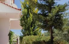 Ευχάριστη βίλα στη Χαλκίδα στην περιοχή ''Αλυκές'' - Foto 14