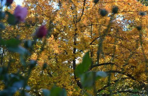 Casa Martino - Foto 67