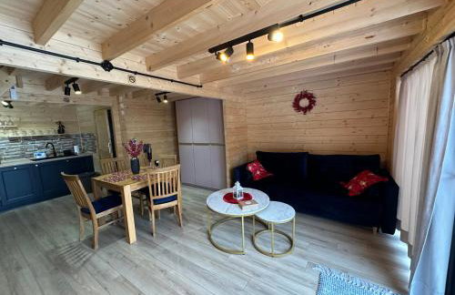 Garbicz Barns domki całoroczne - Foto 8