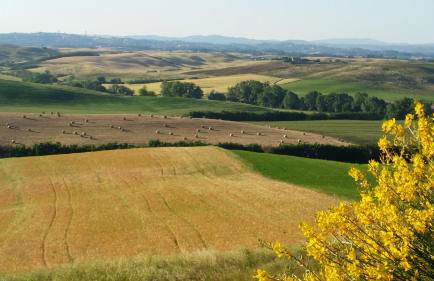Gli Archi di Corsanello - Foto 42