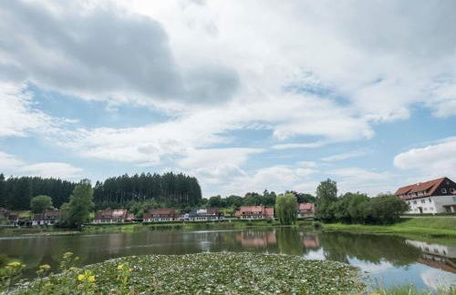 Apartment in Bad Grund Near Harz Park - Foto 56