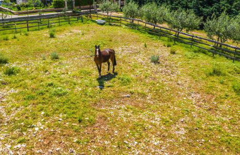 Apartment Krnica Iii - Foto 7